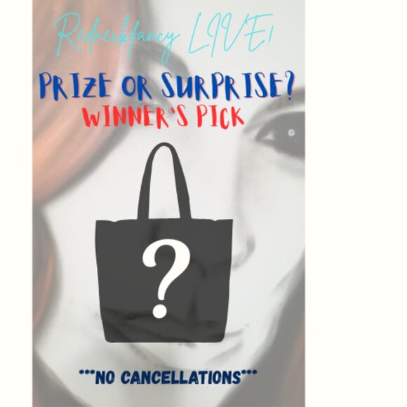 Prize or Surprise Mystery Game - Picture 1 of 1